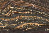 Polished Tiger Iron Stromatolite Slab - Billion Years #222054-1